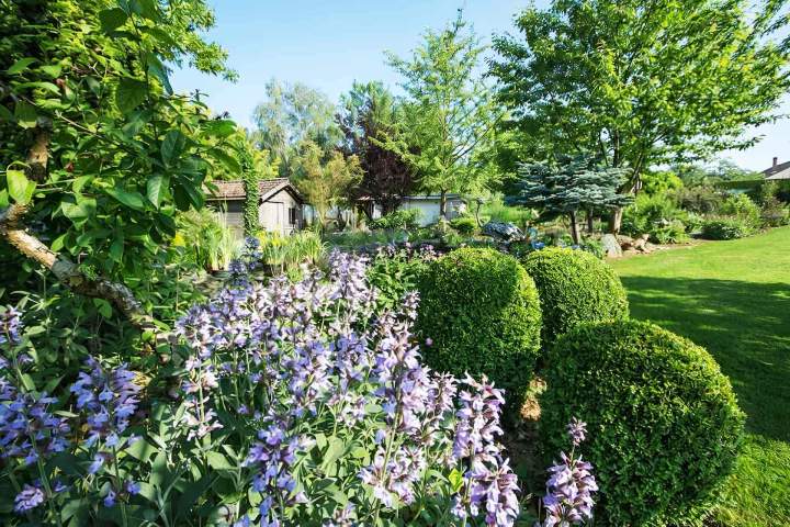 Entretien jardin Vivier-au-Court