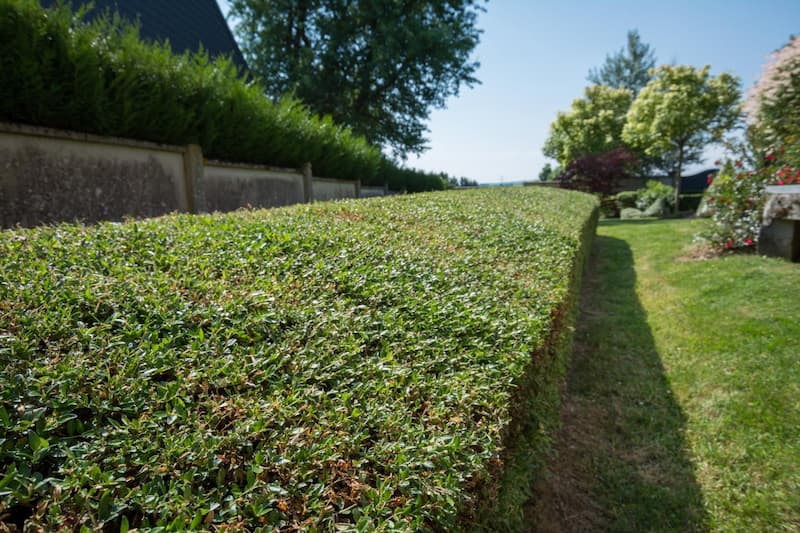 Création d'espace vert Vivier-au-Court