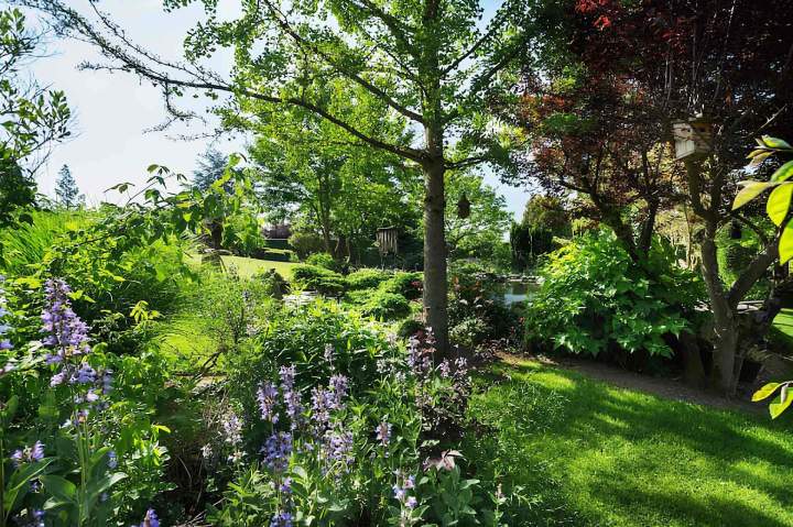Jardin aménagé Vivier-au-Court