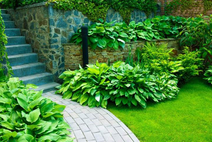 Création jardin Vivier-au-Court